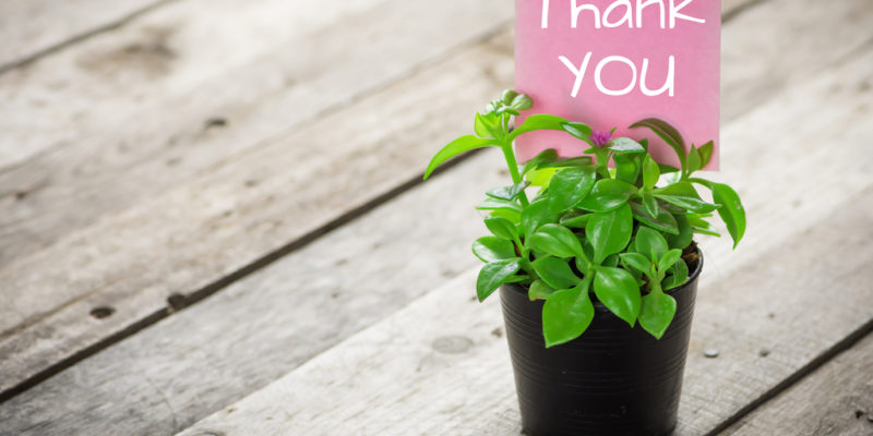 a small plant with a thank you note