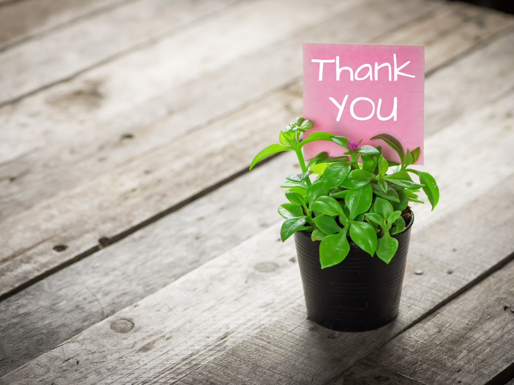 a small plant with a thank you note
